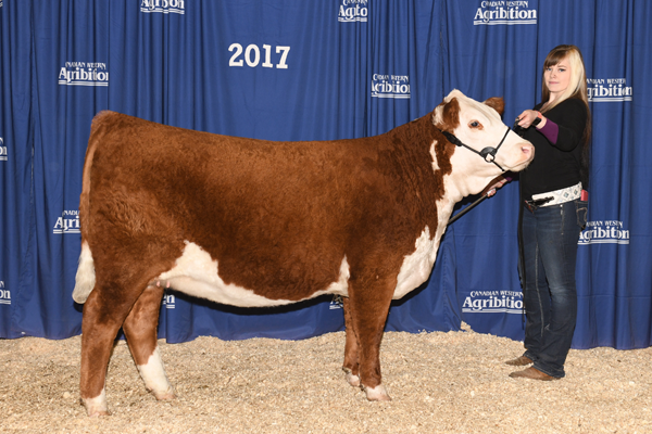 Sire Image